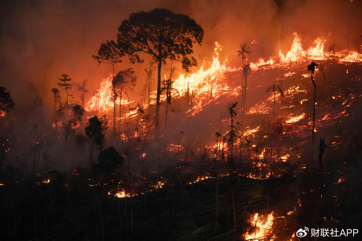 位于巴西的亚马逊雨林遭遇火灾图片来源:greenpeace/nilmar lage此外