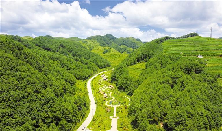 毕节市赫章县海雀村国家储备林项目基地.