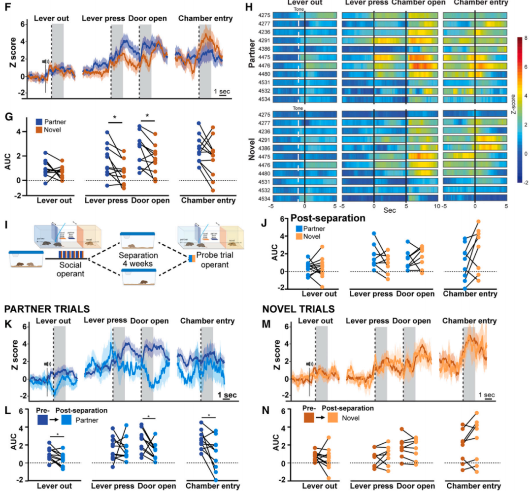 寻找伴侣的过程以及与伴侣共享时光能够增加多巴胺的分泌那么,分手