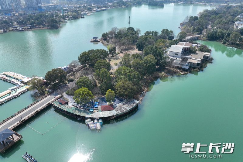 图视汇丨来月湖公园赏春花哟|长沙市_新浪财经_新浪网