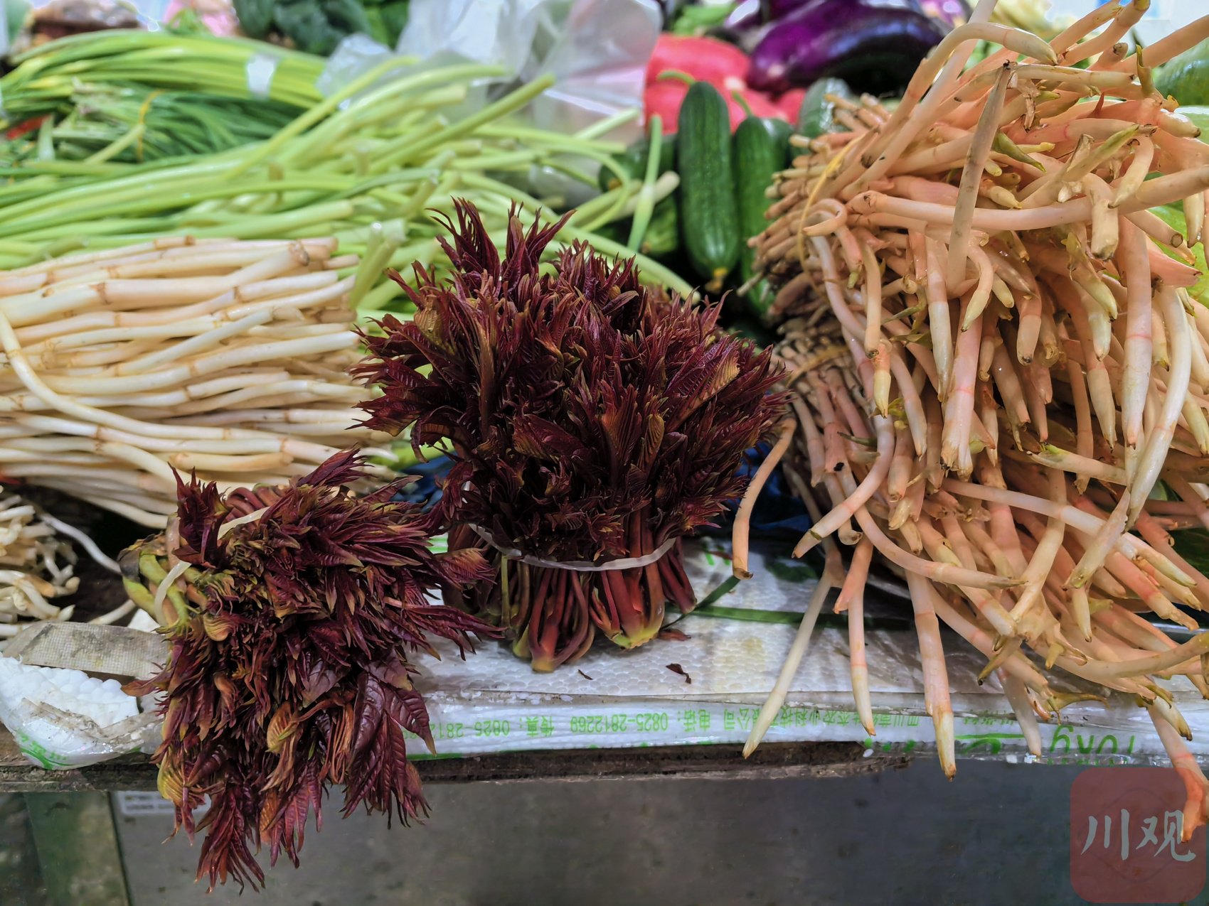 市场解码丨春菜抢鲜上市,香椿价格贵不贵?|云南省_新浪财经_新浪网