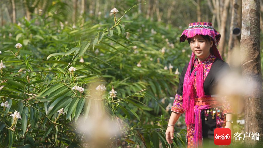"屯昌南坤镇山塘村村民钟兰霞