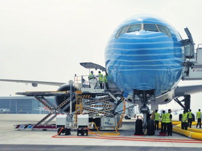 成都天府国际机场,航空器进港保障.