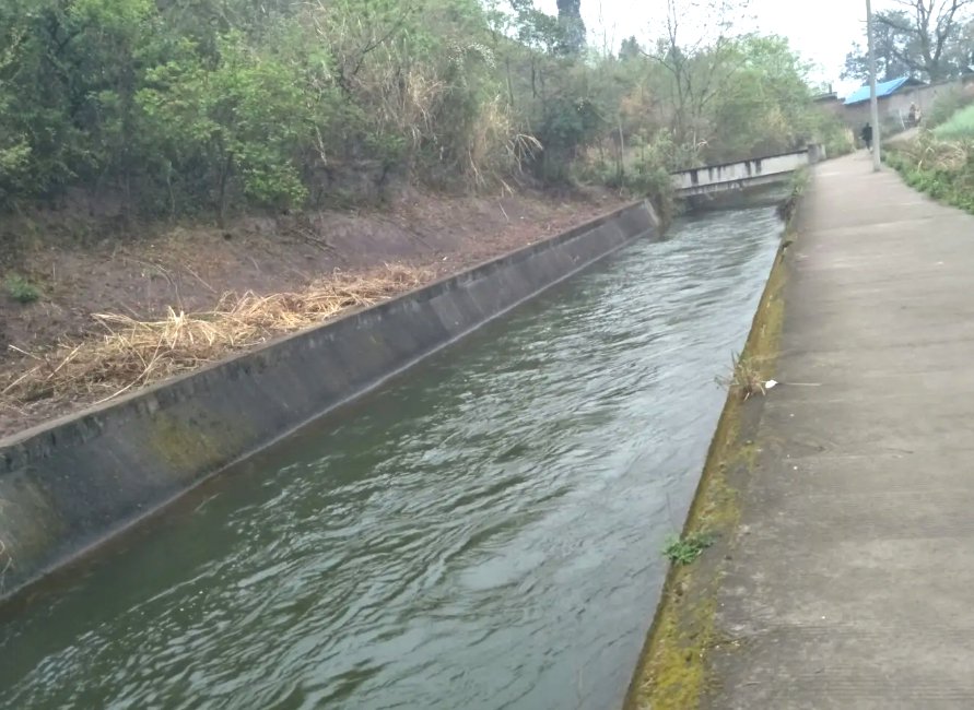 当天,在眉山市仁寿县黑龙滩灌区,随着东南总干渠分水闸缓缓升起,眉山