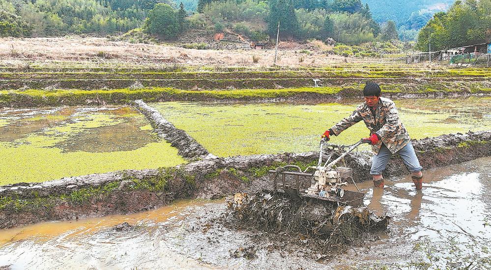 尤溪春耕:做"精"做"细",播撒希望的种子|农机_新浪财经_新浪网