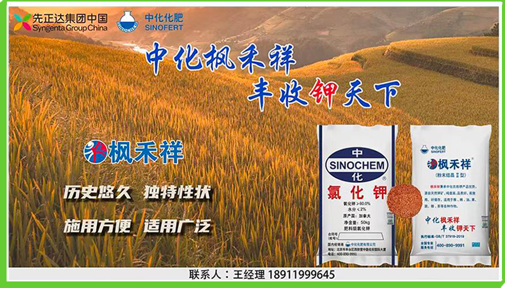 【每日期货】现货交投氛围偏弱,期货盘面高开低走|尿素_新浪财经_新浪