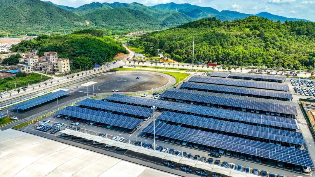 我们种下的一株株小树苗,将拼成一幅幅高品质的绿美肇庆地图,让绿色