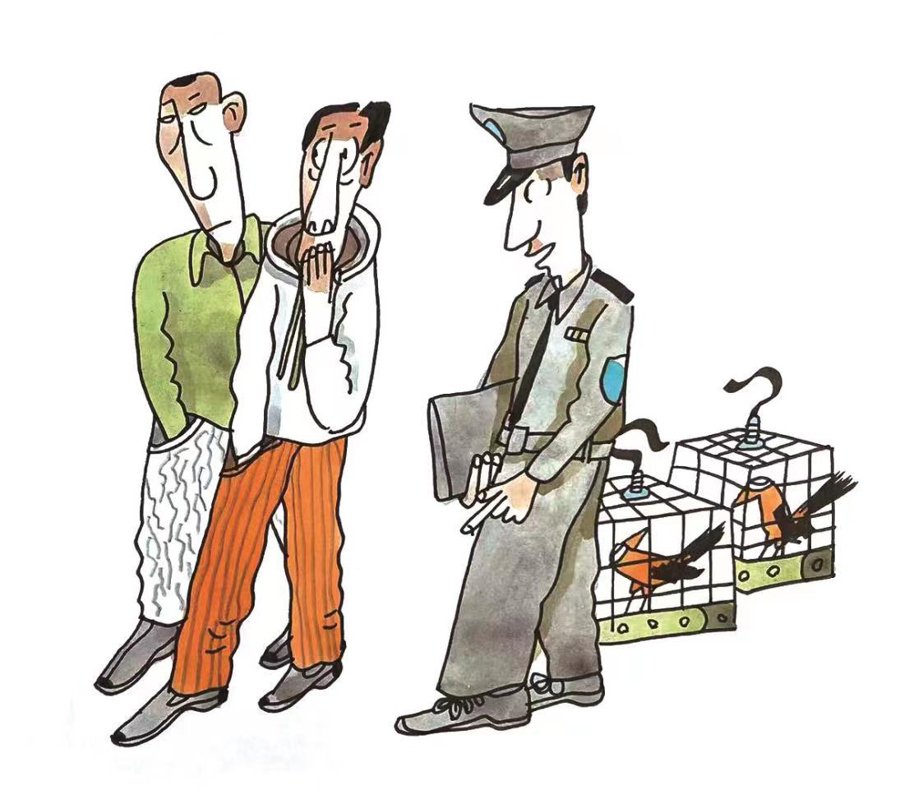 截至案发,王某先后3次出售3只野生画眉鸟,购买3只,价值人民币3万元.