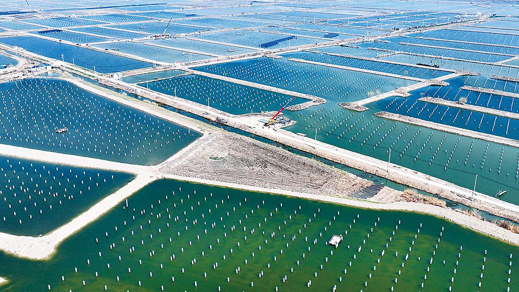 江苏省规模最大的940兆瓦渔光互补新能源项目在连云港市赣榆区墩尚镇