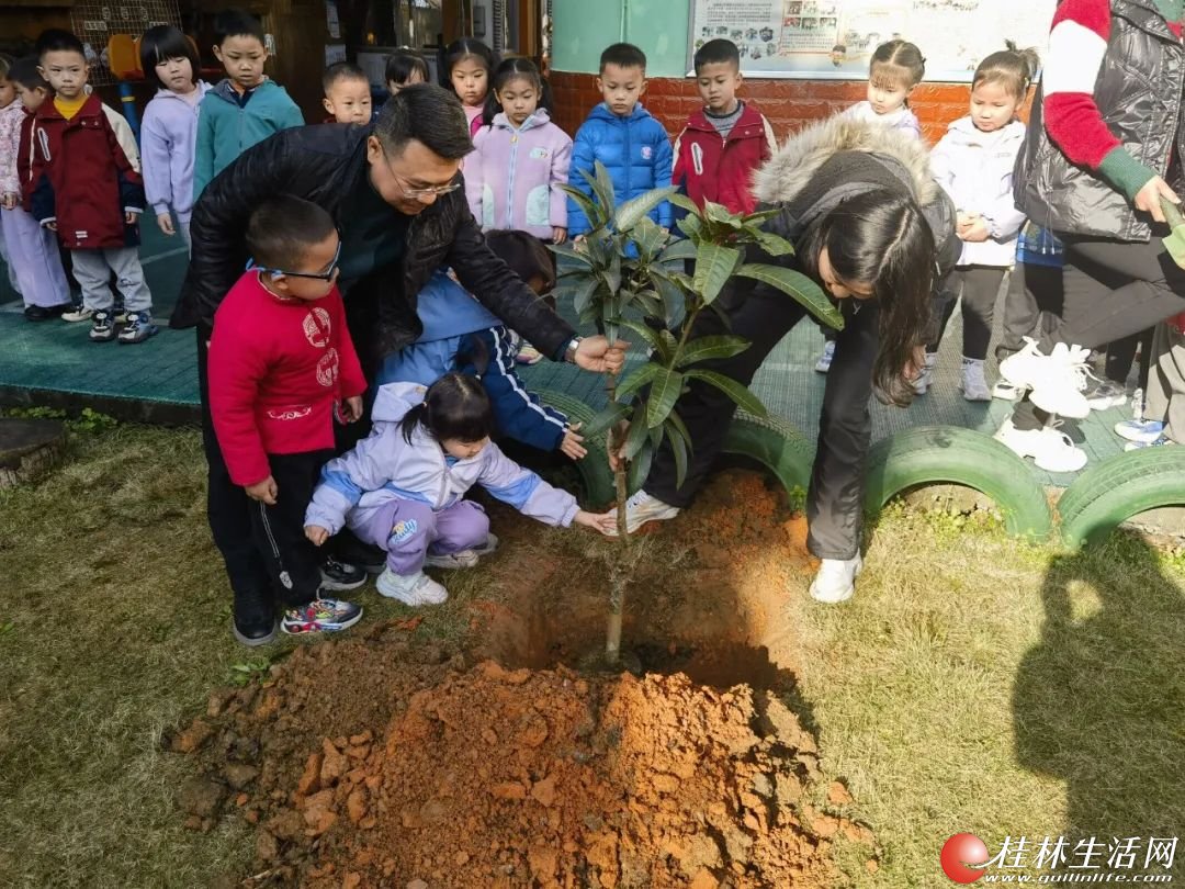 童"植"新绿 向阳而生——桂林市七星托幼教育集团开展植树节活动|爱护