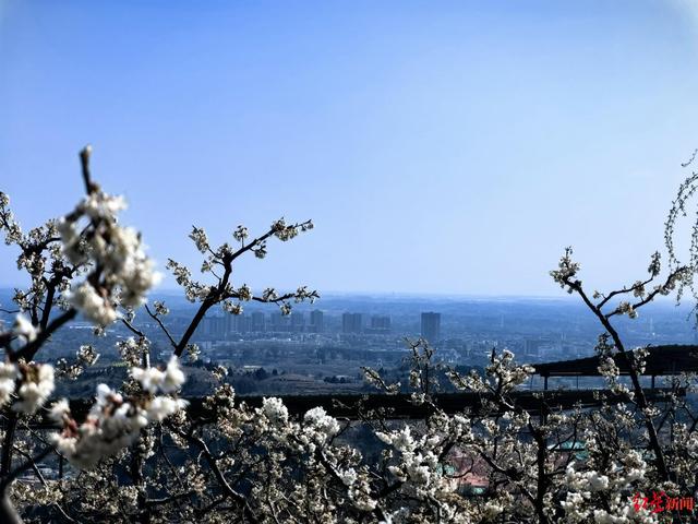 世园会掀起赏花热,催生成都东部新区"花海经济"_新浪财经_新浪网