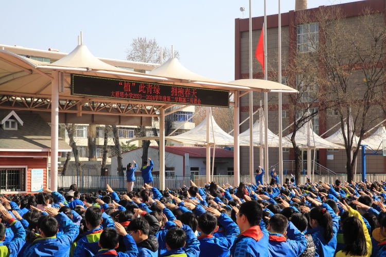 大雁塔小学开展"植树节"主题活动|大雁塔_新浪财经_新浪网