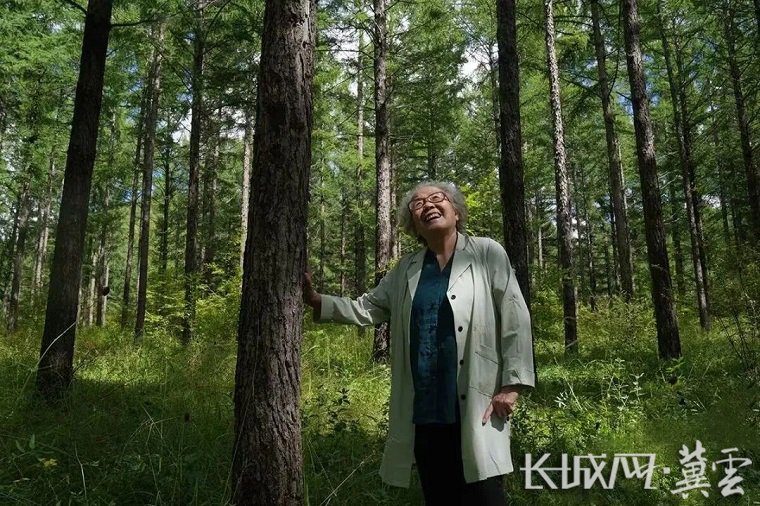 陈彦娴在塞罕坝林场.资料图