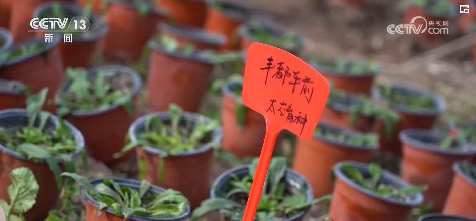 春天里的中国"拼"字当头"加速跑" 各领域发展呈现