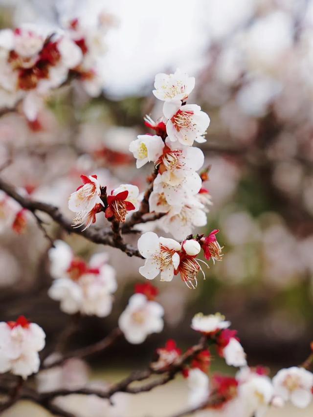 新浪财经_新浪网