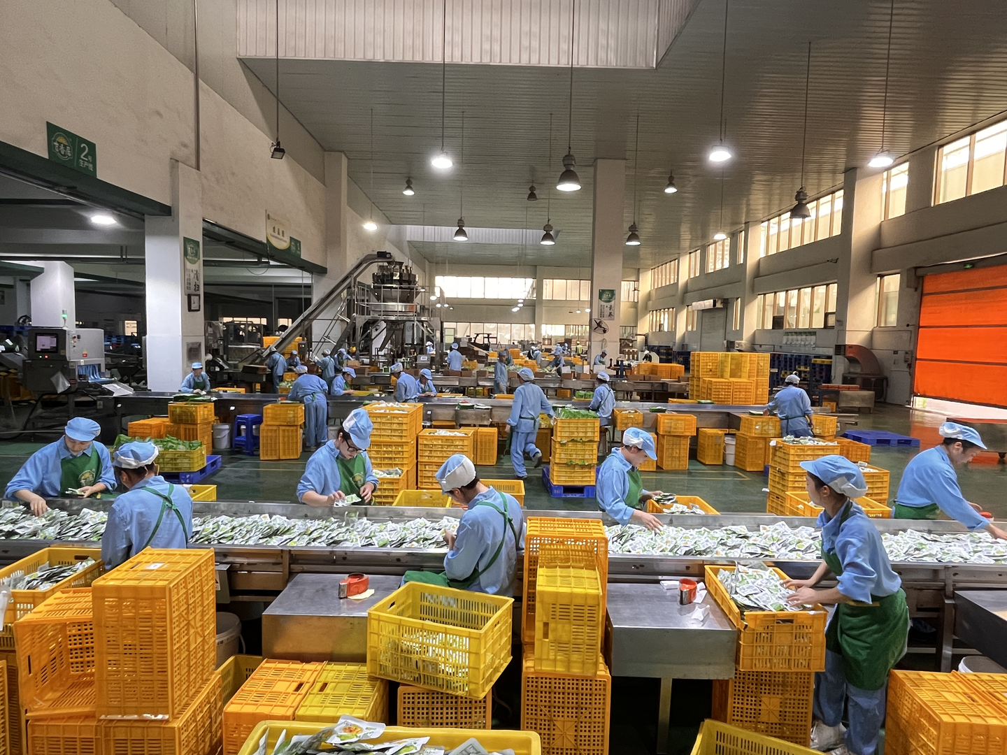 东坡泡菜里的小清新新质生产力构筑绿色新优势