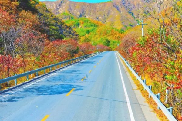 加快京津冀交通一体化 互联互通向纵深迈进|秦皇岛市_新浪财经_新浪网