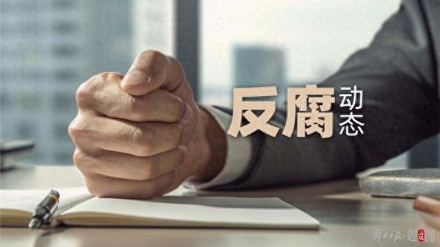 中纪报:国资央企领域反腐力度明显加大|纪检监察_新浪财经_新浪网