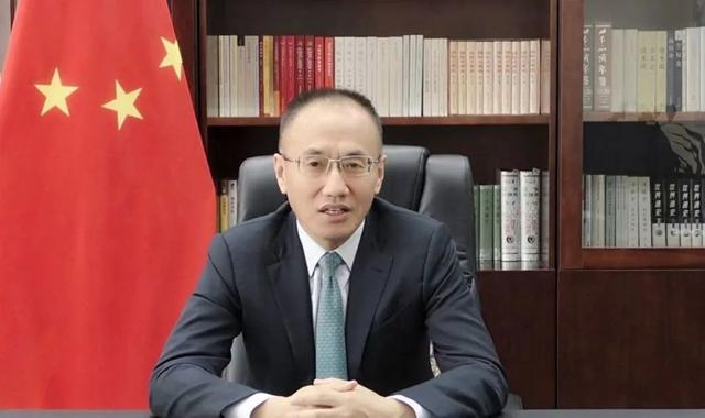 陈晓东 资料图.图源:中国驻南非大使馆网站