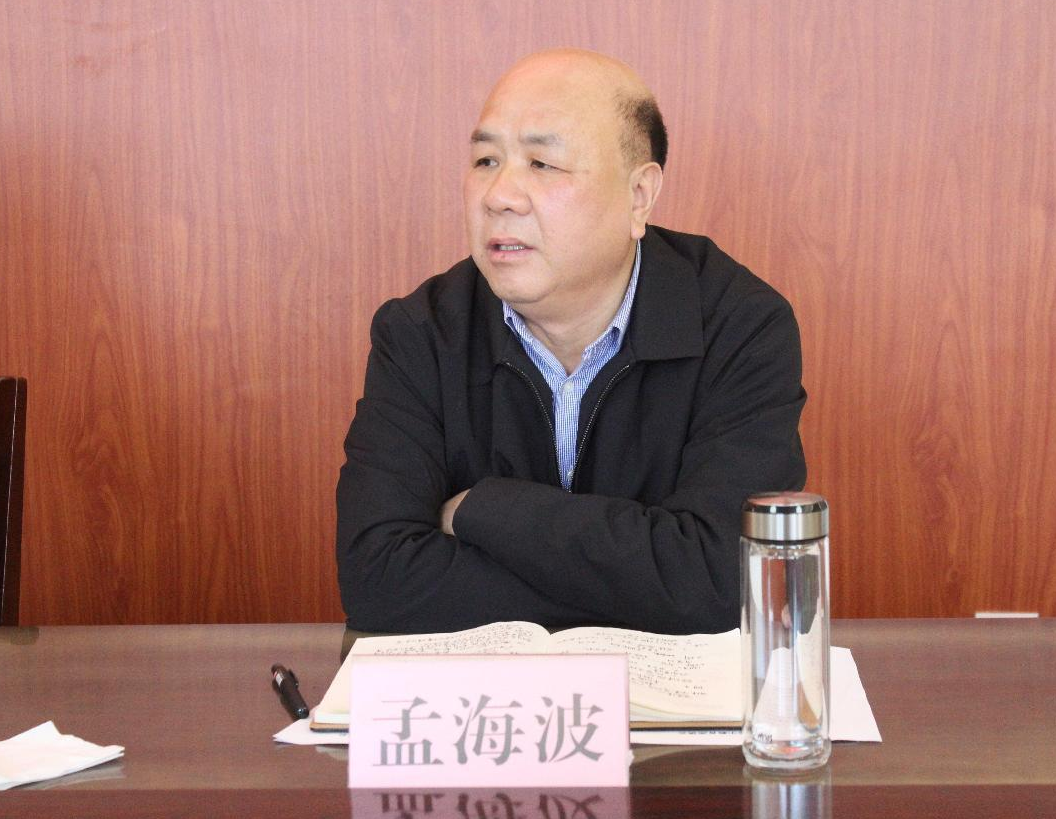 视导明方向 鼓劲赋动能——内乡县委书记张智广深入