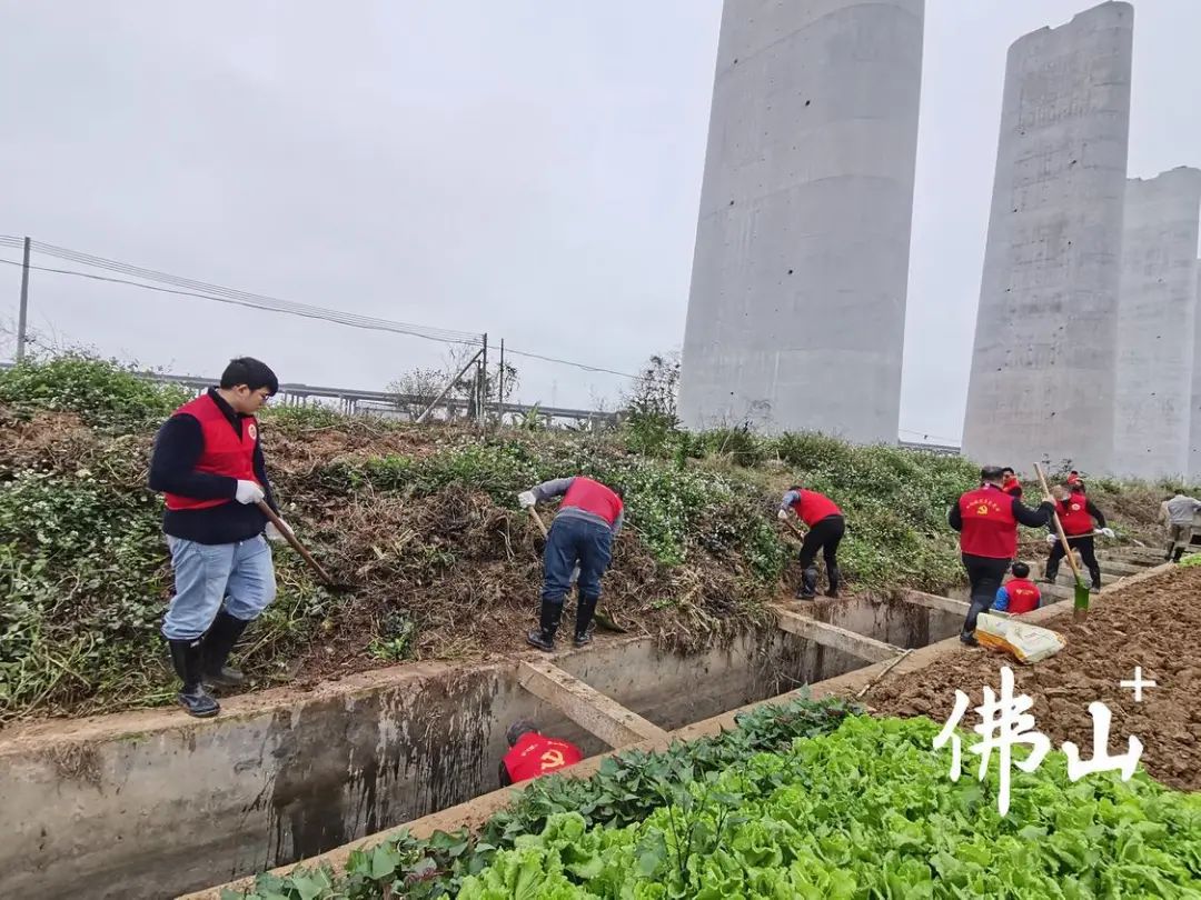 三水白坭镇清理扫黄图片