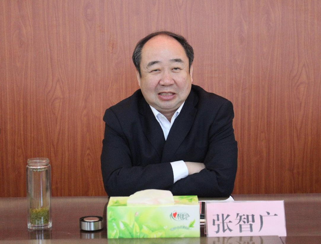 视导明方向 鼓劲赋动能——内乡县委书记张智广深入