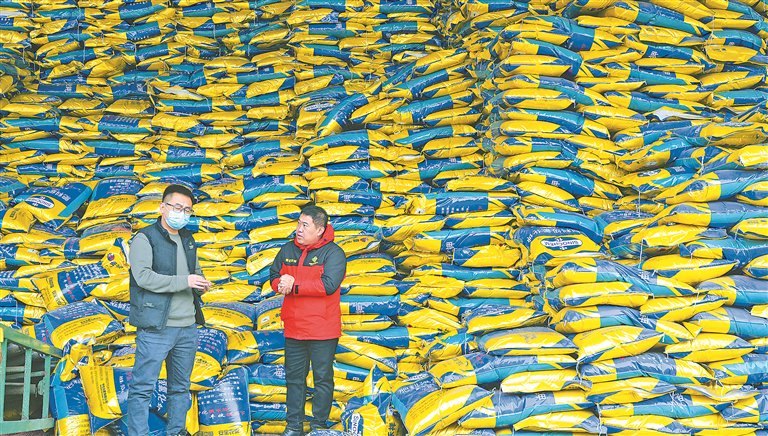 化肥,农药,种子等各类农资码放整齐,品类齐全.