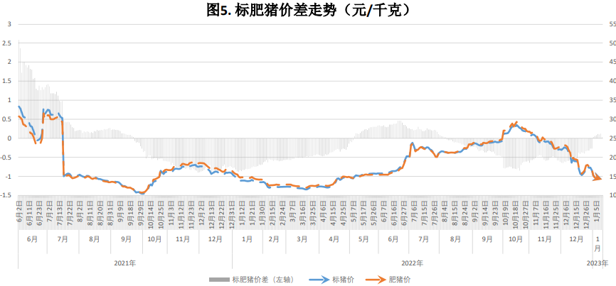 财经频道在线观看生猪价格的简单介绍