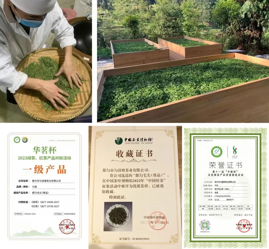 制茶师刘廷龙及证书