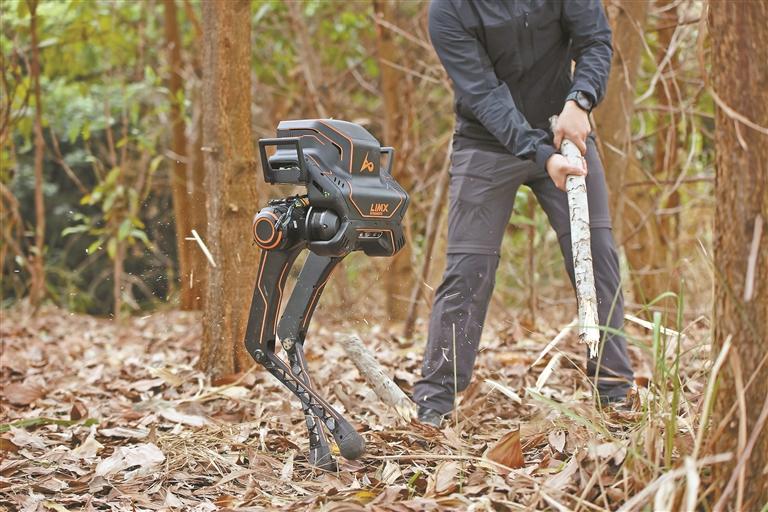 这个双足机器人厉害了 在野外复杂地形中行走自如