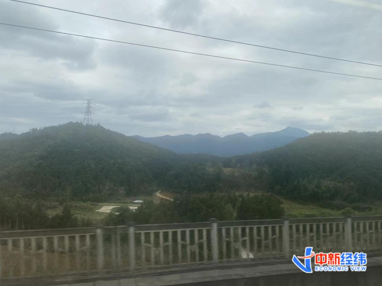 从福州至建瓯,一路都是绿色的丘陵 中新经纬陈俊明摄建瓯盛产雷竹笋