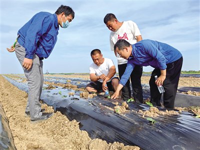 春潮涌动 暖城乡村风景独好|合作社_新浪财经_新浪网