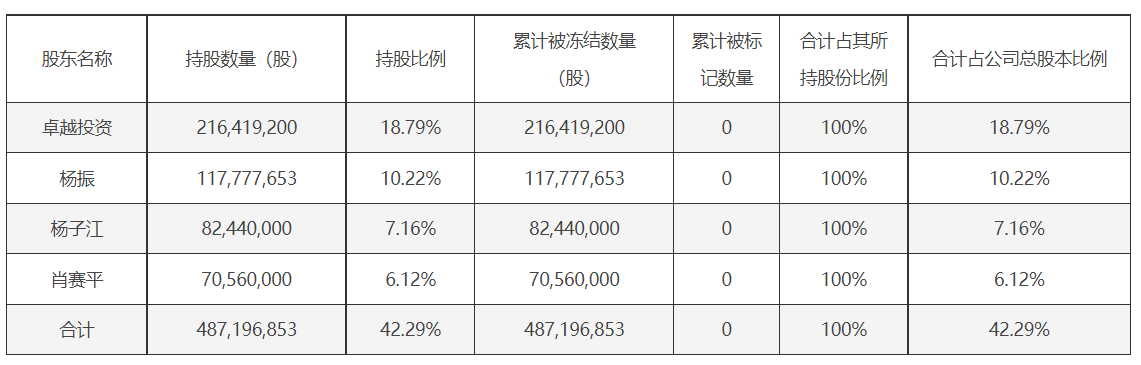 加加食品的控股股东及实际控制人所持公司股份累计被冻结情况