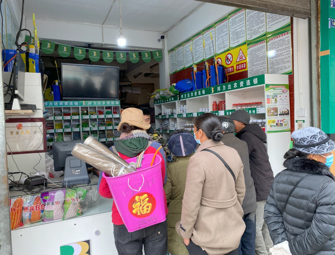 在凉山州越西县一农资店,农户正在选购玉米种子.省供销社供图