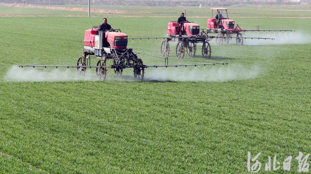 3月12日,邢台市南和区北高五村农民驾驶农机在麦田喷洒农药.