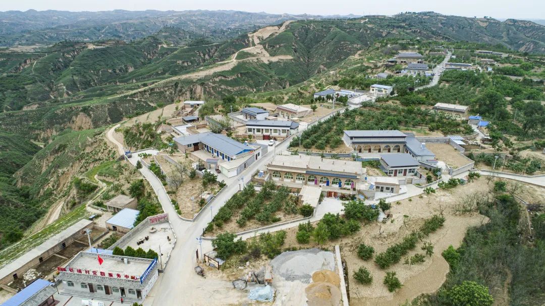 陕西:吴堡县全域推进增绿护绿 沿黄生态绿色廊道建设由"浅绿"向"深绿"