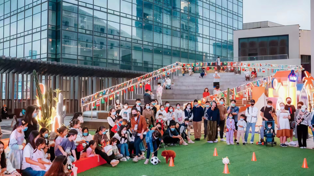 深圳国际宠物展来啦!"铲屎官"速戳→|宠物展_新浪财经_新浪网