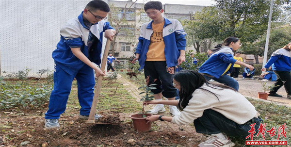 向阳中学:我携春风绿向阳 年年春绿满人间|中学_新浪财经_新浪网