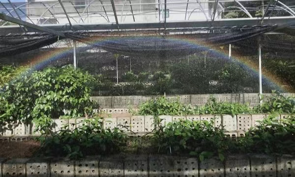 歙县徽城镇:花开成桨 奋楫乡村振兴大潮|乡村振兴_新浪财经_新浪网