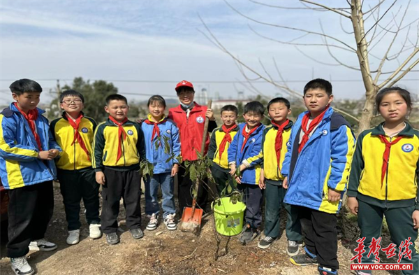 望城区南村小学:争做时代雷小锋 植树护绿做先锋_新浪财经_新浪网