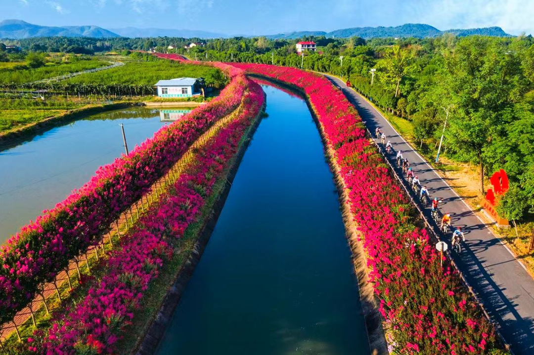 6月1号-8月10号左右推荐赏花地点:百里花果生态观光带零陵段厚朴花篱