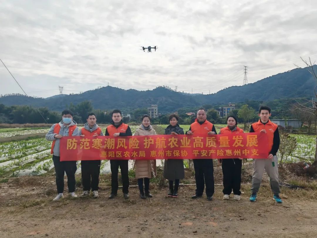 当得知阳江,珠海等地农户缺少化肥与农业机械,农险专班立即联合地方