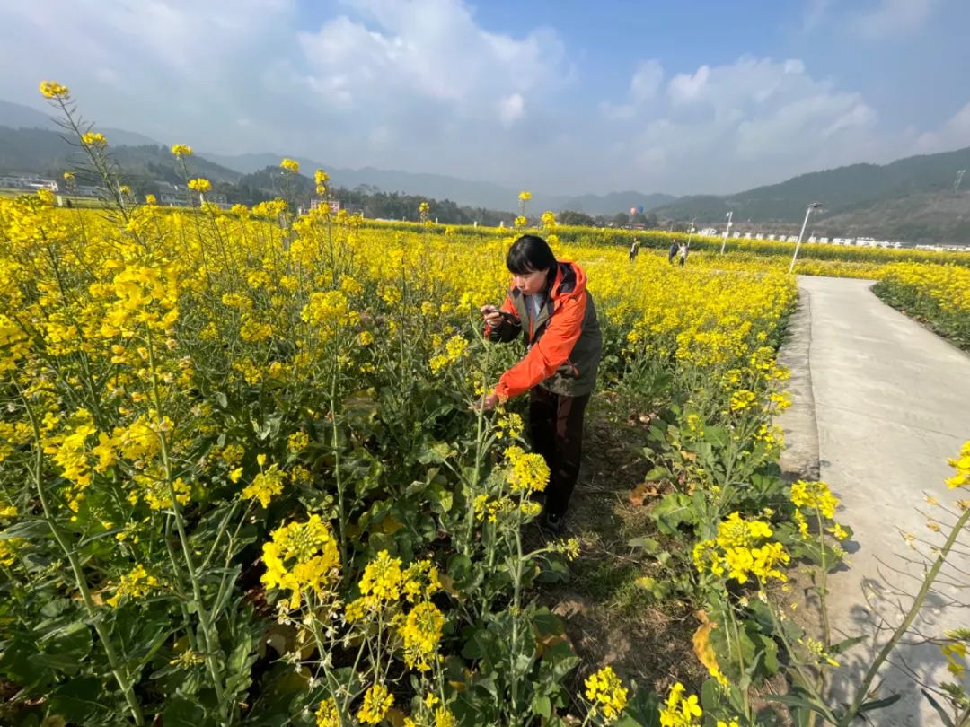 南京少儿重疾险：孩子成长路上的保护伞