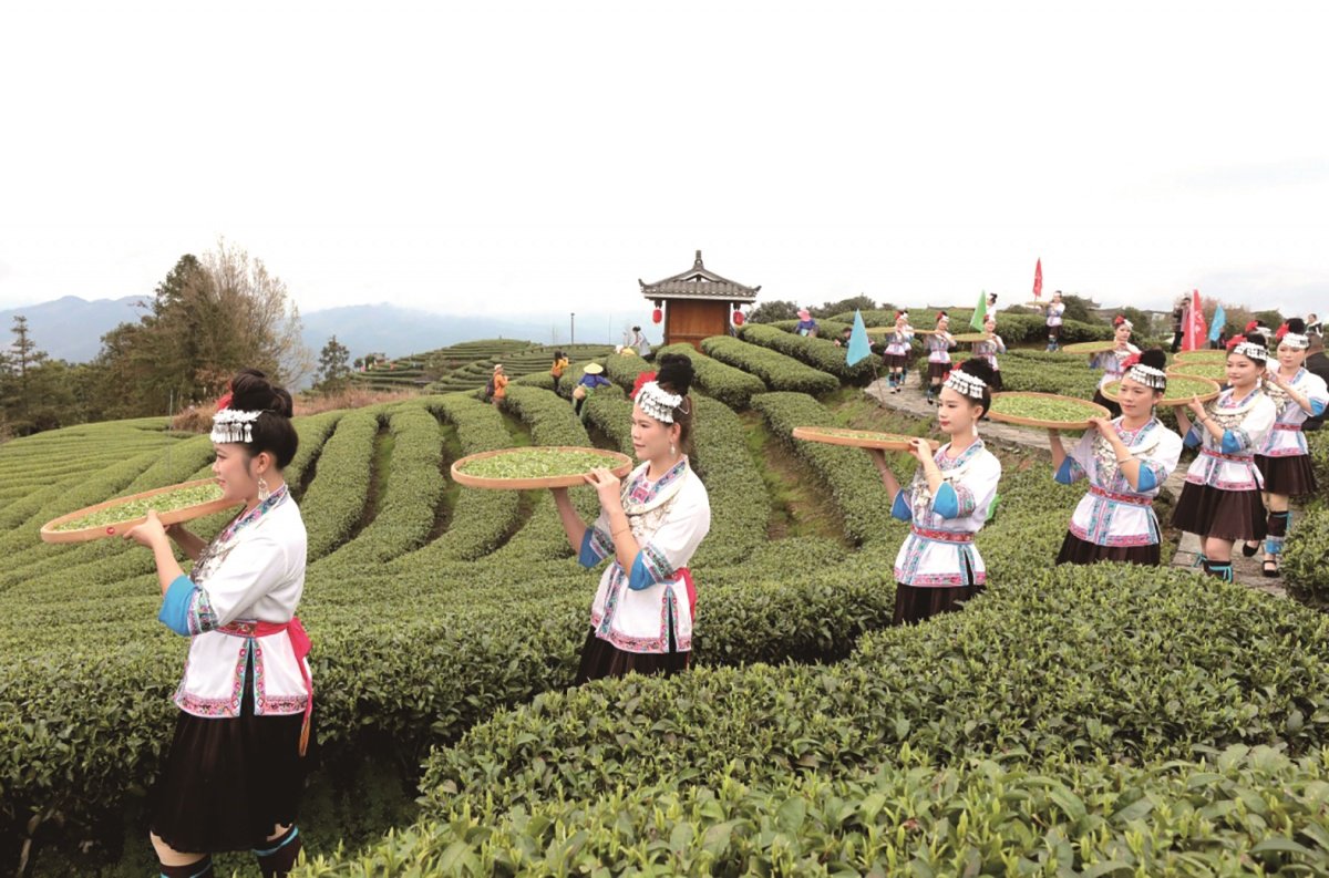 共品茶香,共叙茶缘……广西在这里叫醒中国的春天_新浪财经_新浪网