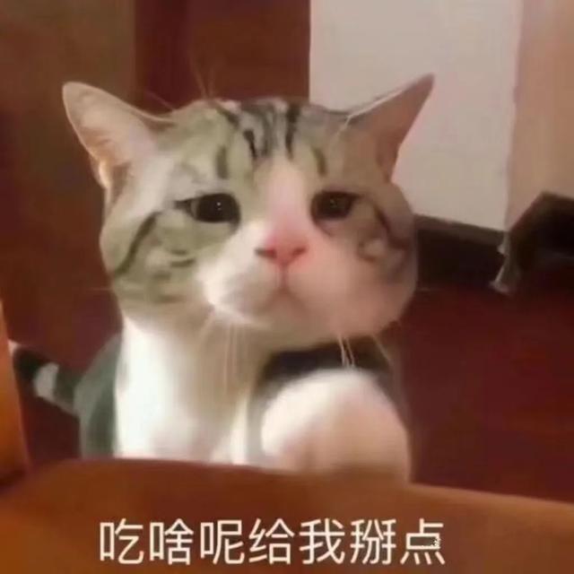 (封面表情包自取)3·15消费者权益日来临"合理维权,骗假不留"沪团团