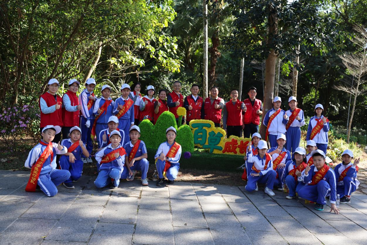 华新小学的孩子们在植树节这天种上了中草药_新浪财经_新浪网