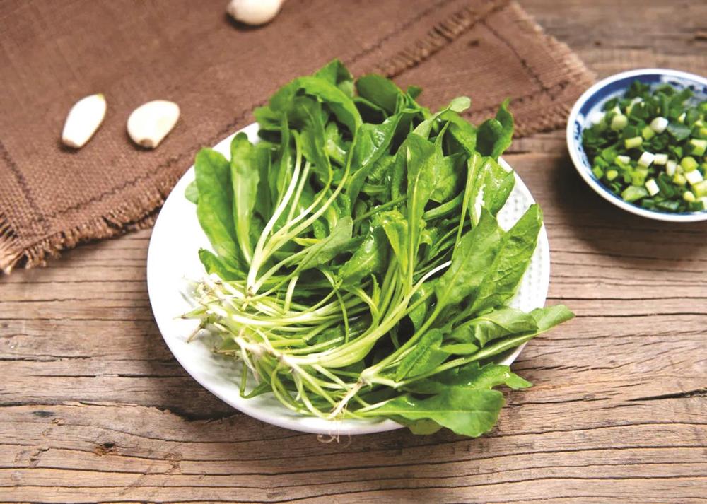 又到荠菜飘香时|荠菜_新浪财经_新浪网