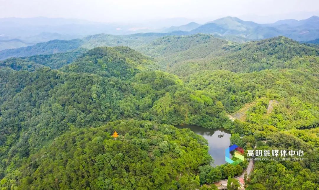 森林,峡谷,瀑布05周末来佛山吸氧吧|森林公园_新浪财经_新浪网