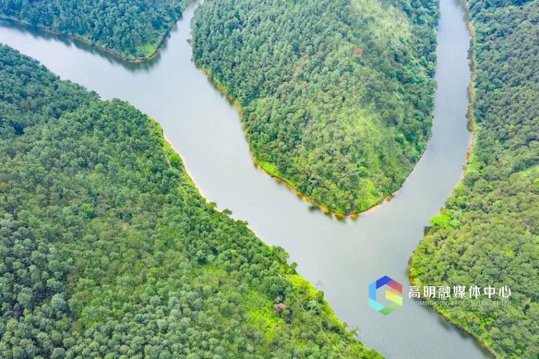 森林,峡谷,瀑布05周末来佛山吸氧吧|森林公园_新浪财经_新浪网