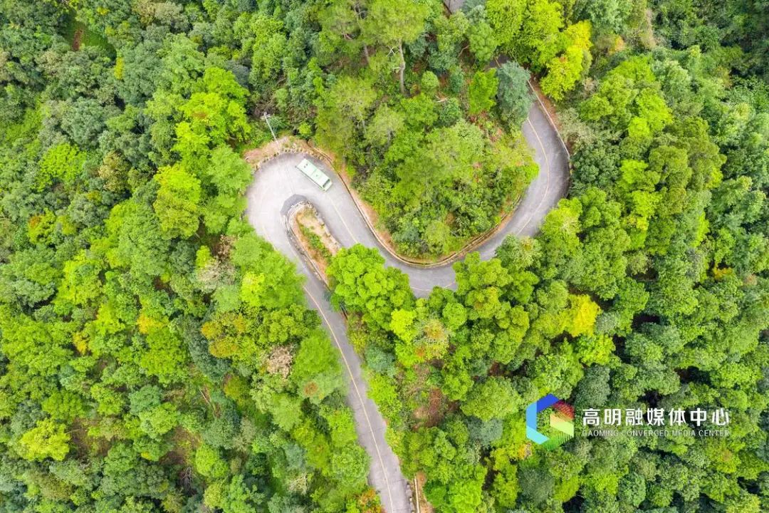 森林,峡谷,瀑布05周末来佛山吸氧吧|森林公园_新浪财经_新浪网
